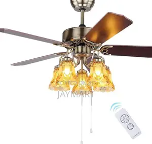 Ceiling Fanlight With Led Bulbs