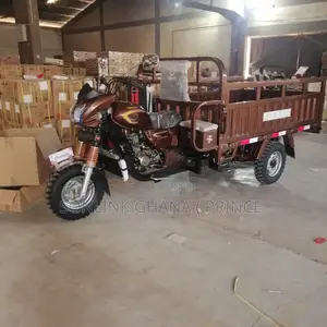 New Apsonic AP200ZH-W VIP 2024 Brown