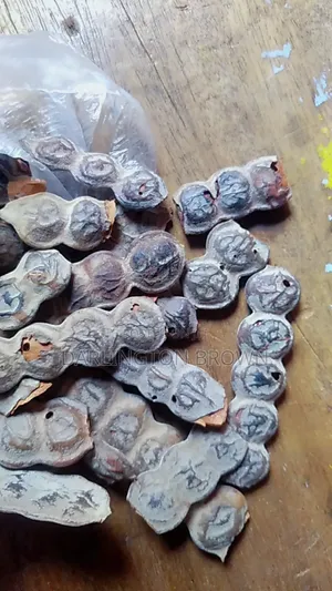 Bagawura / Acacia Seed