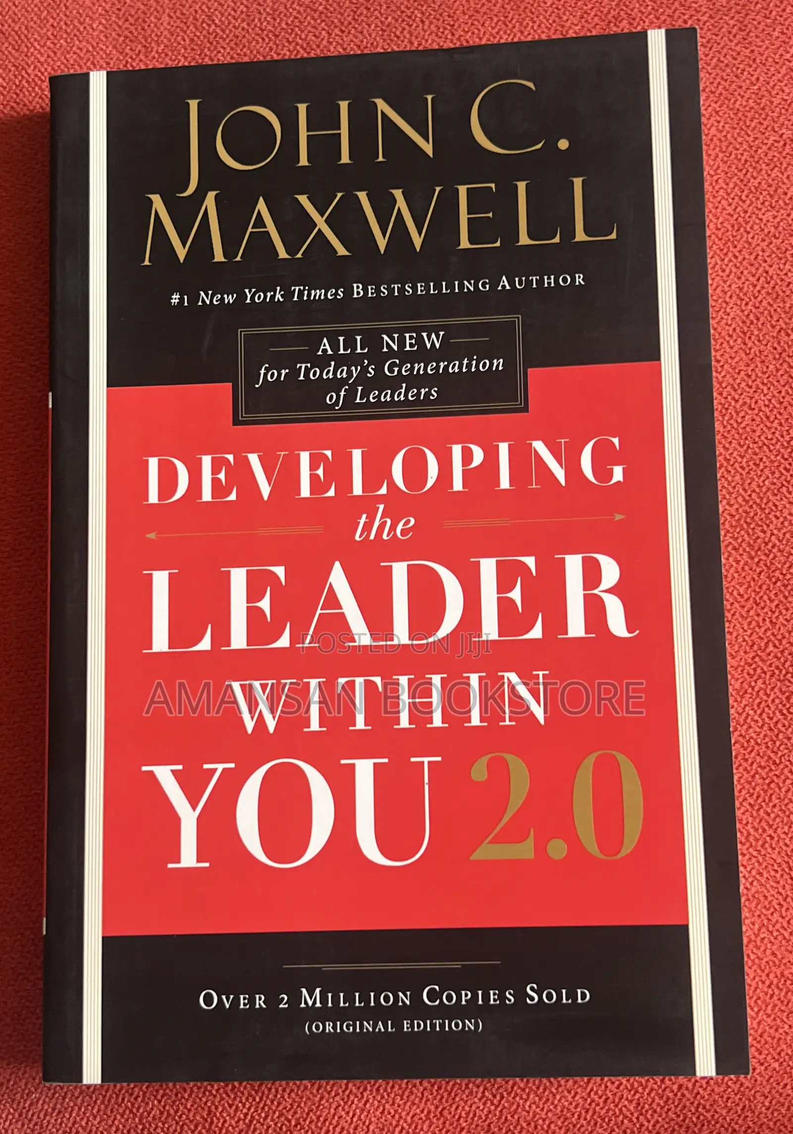 Developing the Leader Within You