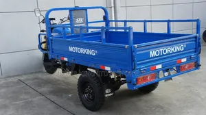 New Tricycle 2024 Blue