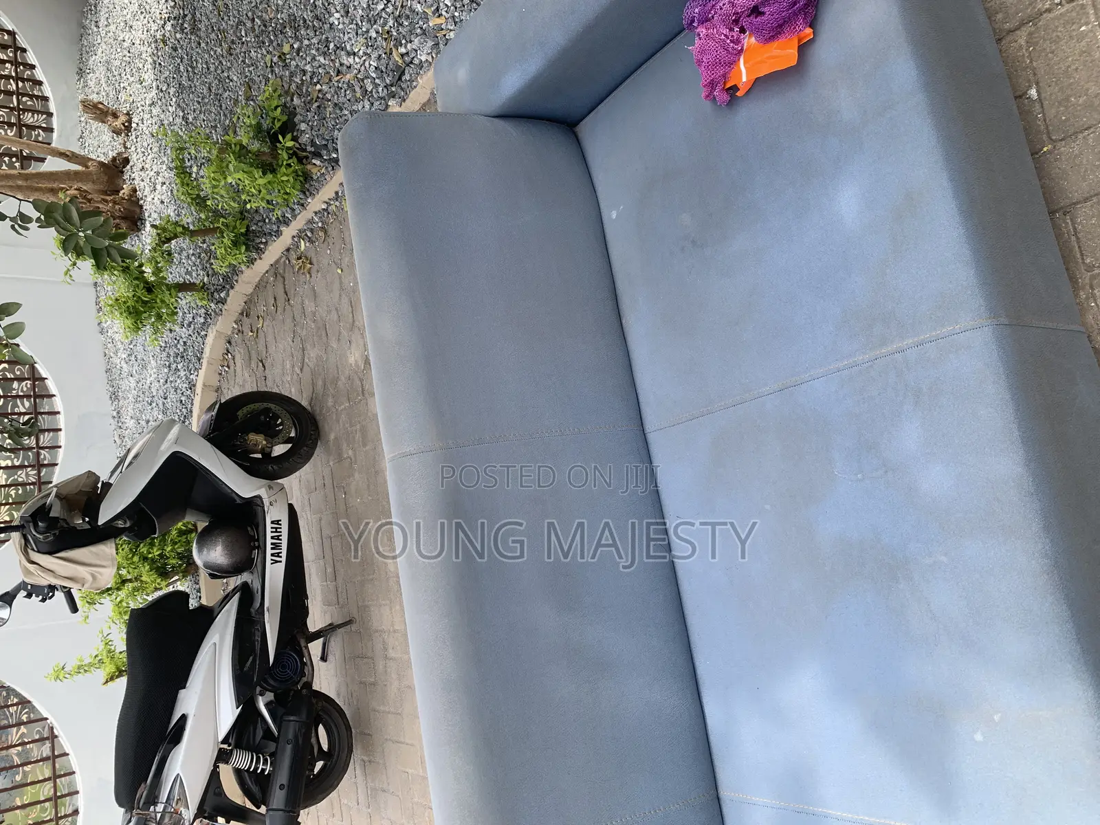 Couch and Bed Cleaning Services