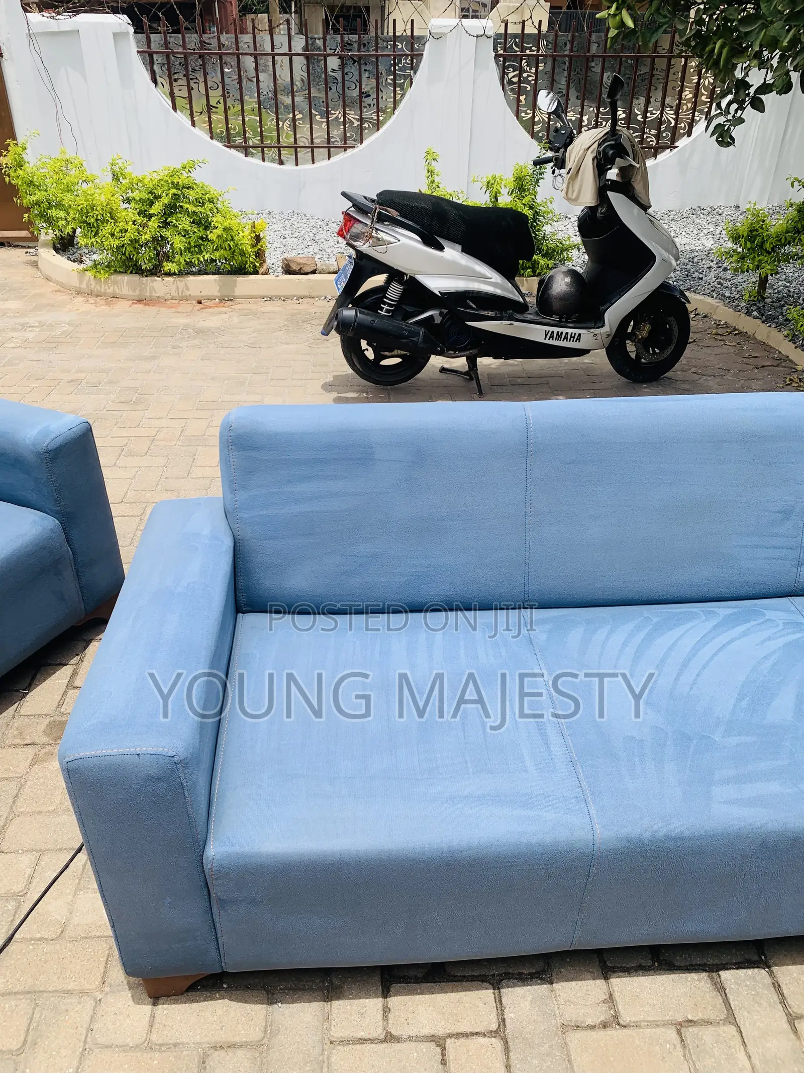 Couch and Bed Cleaning Services
