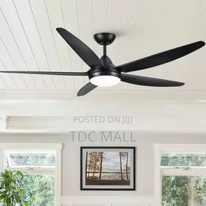 Executive Art Ceiling Fanlight With Remote Control