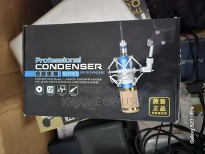 Professional Condenser Studio Microphone