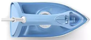 Press With Precision Steam Iron for a Professional Finish