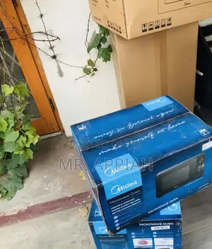 Buy Premium 20 Liters Microwave(Black) 