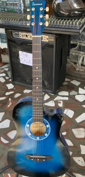 Tanmus Brand New Acoustic Guitar