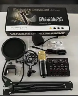 V8 Sound Card/Condenser Mic
