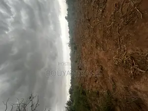 Titled 3 Acres of Land for Sale at Abokobi