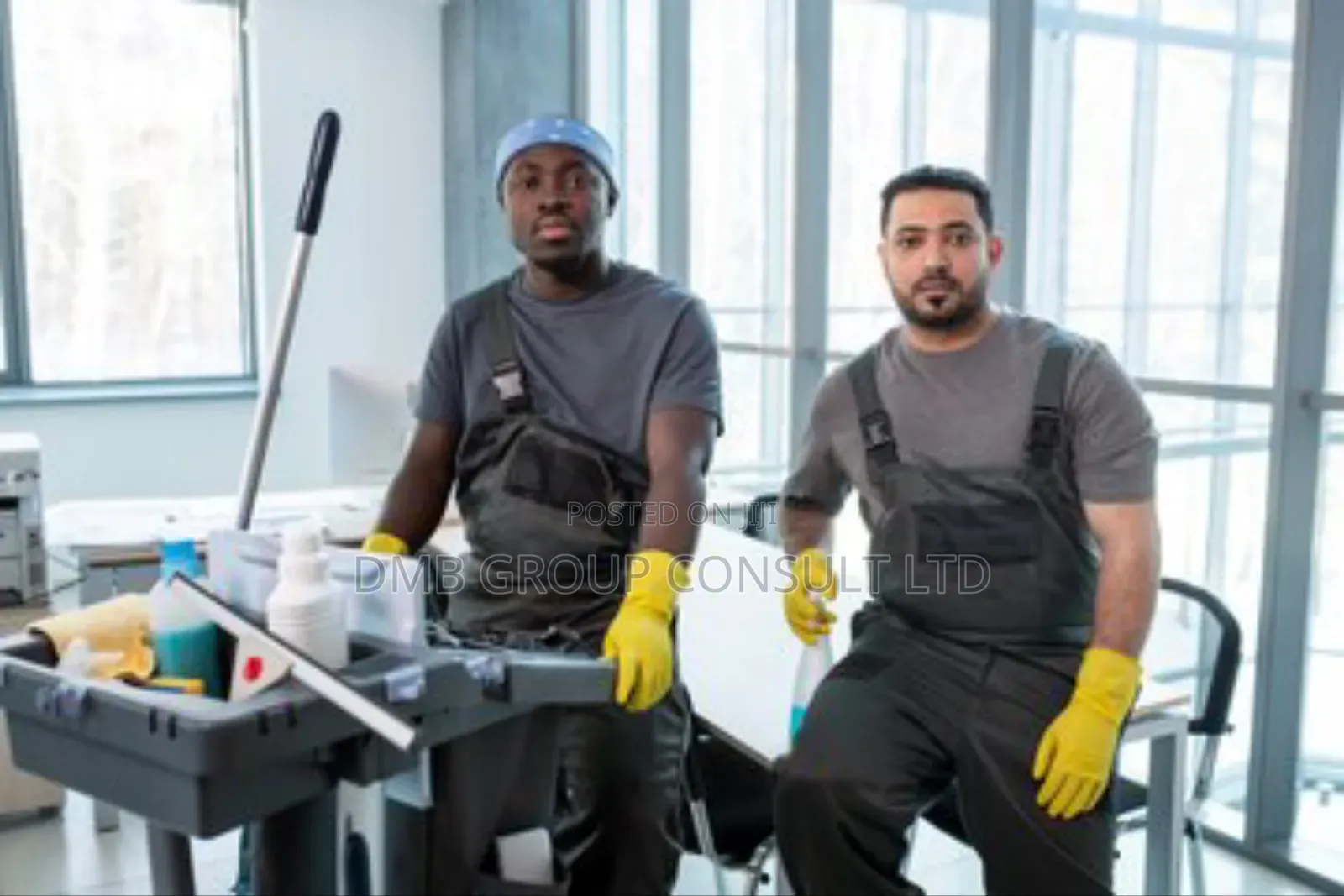 Professional Cleaning Services