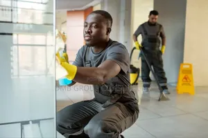 House to House Cleaners