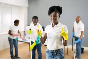 Post-Construction Cleaners
