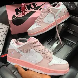 Nike Sb Sneakers