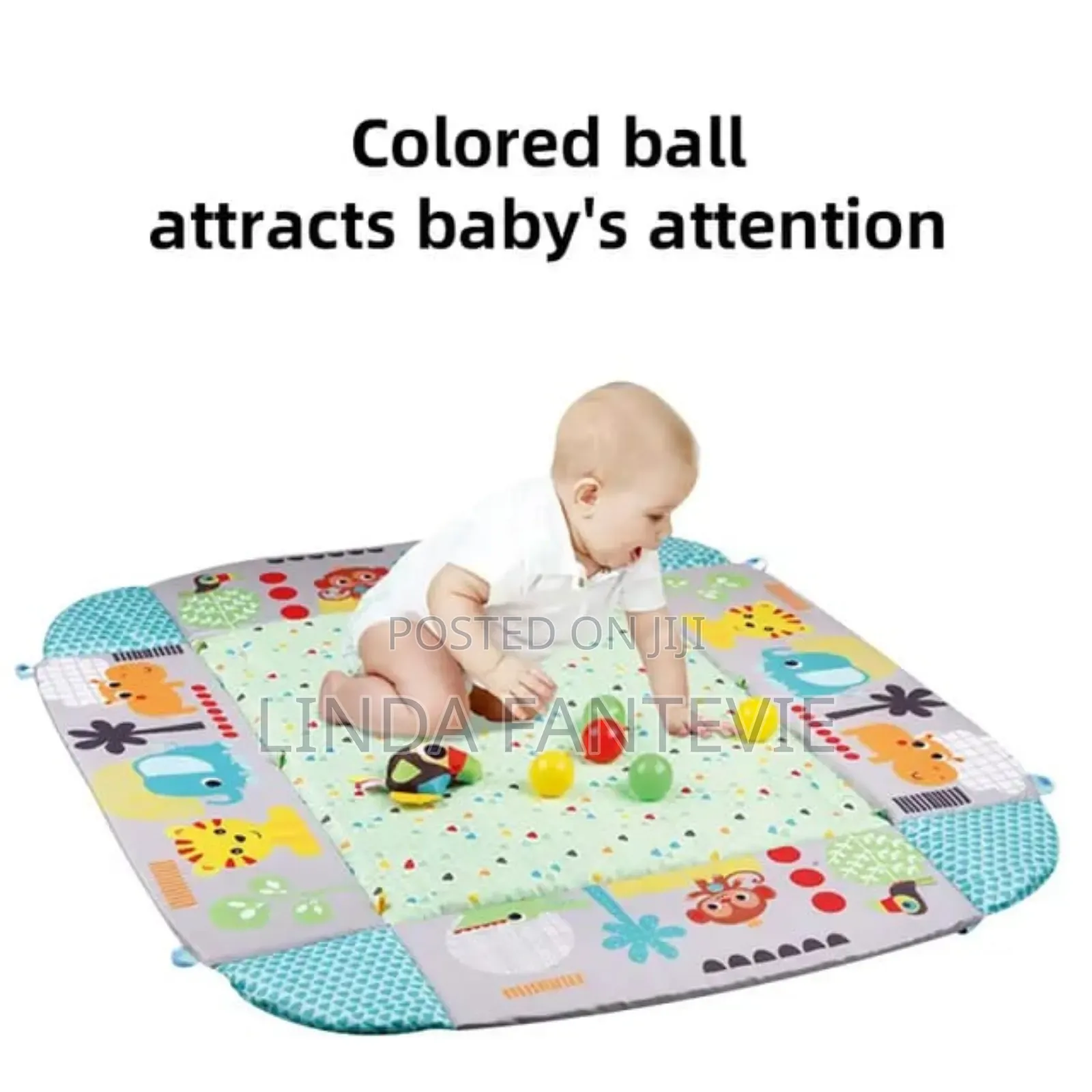 Activity Gym and Ball Pit