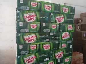 Canada Dry Ginger Ale 24-12 Fl Oz