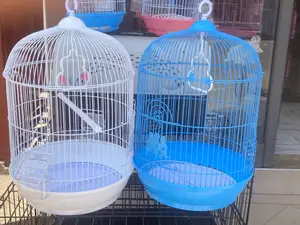 Queens Parrot Cage