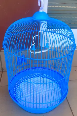 Blue Round Cage for Parrot