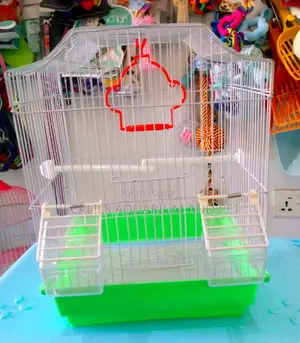 Spacious Birdcage