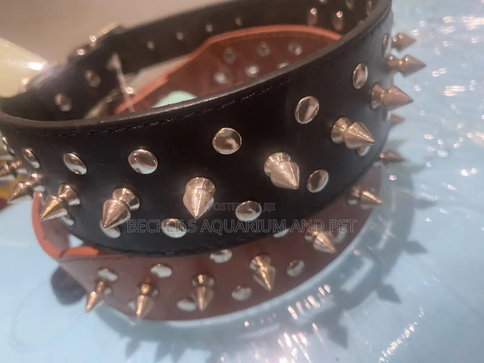 Bigger Dog Collars
