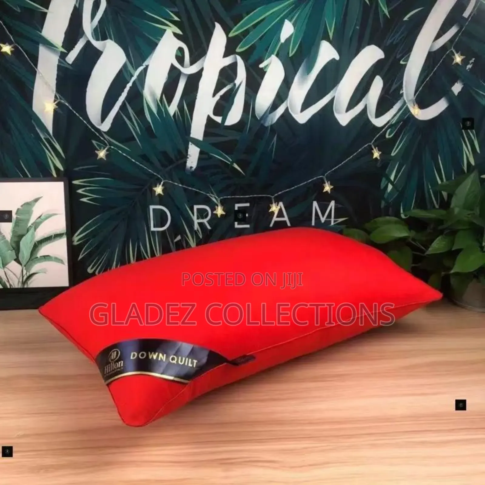 Luxury Pillow