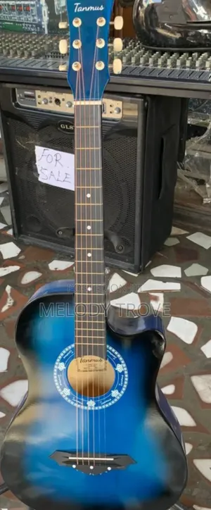 Tanmus Brand New Acoustic Guitar