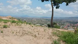 Land for Sale (200×70)Ft at Adjirigarnor