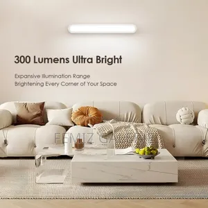 Oraimo Glowmagnetic Lumimag 5w 300 Lumens Magnetic Light 2pcs
