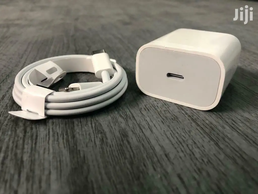 Apple iPhone Charger
