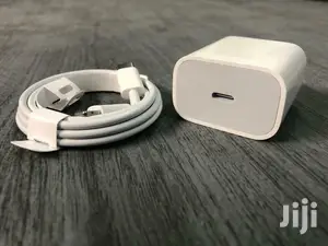 Apple iPhone Charger