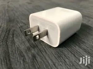 Apple iPhone Charger