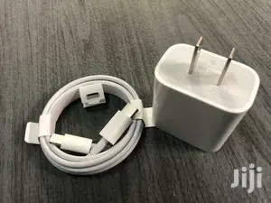 Apple iPhone Charger