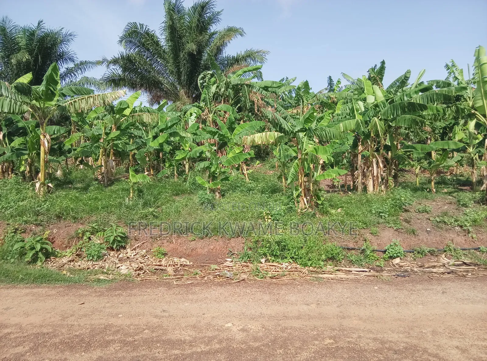 Double Plots of Land for Sale at Nyankyereniase