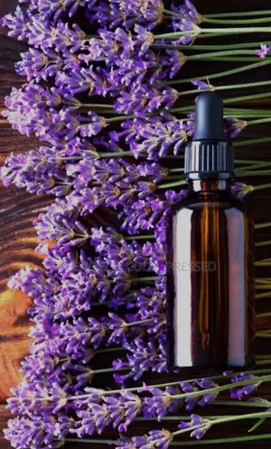 Lavender Massage /Body Oil