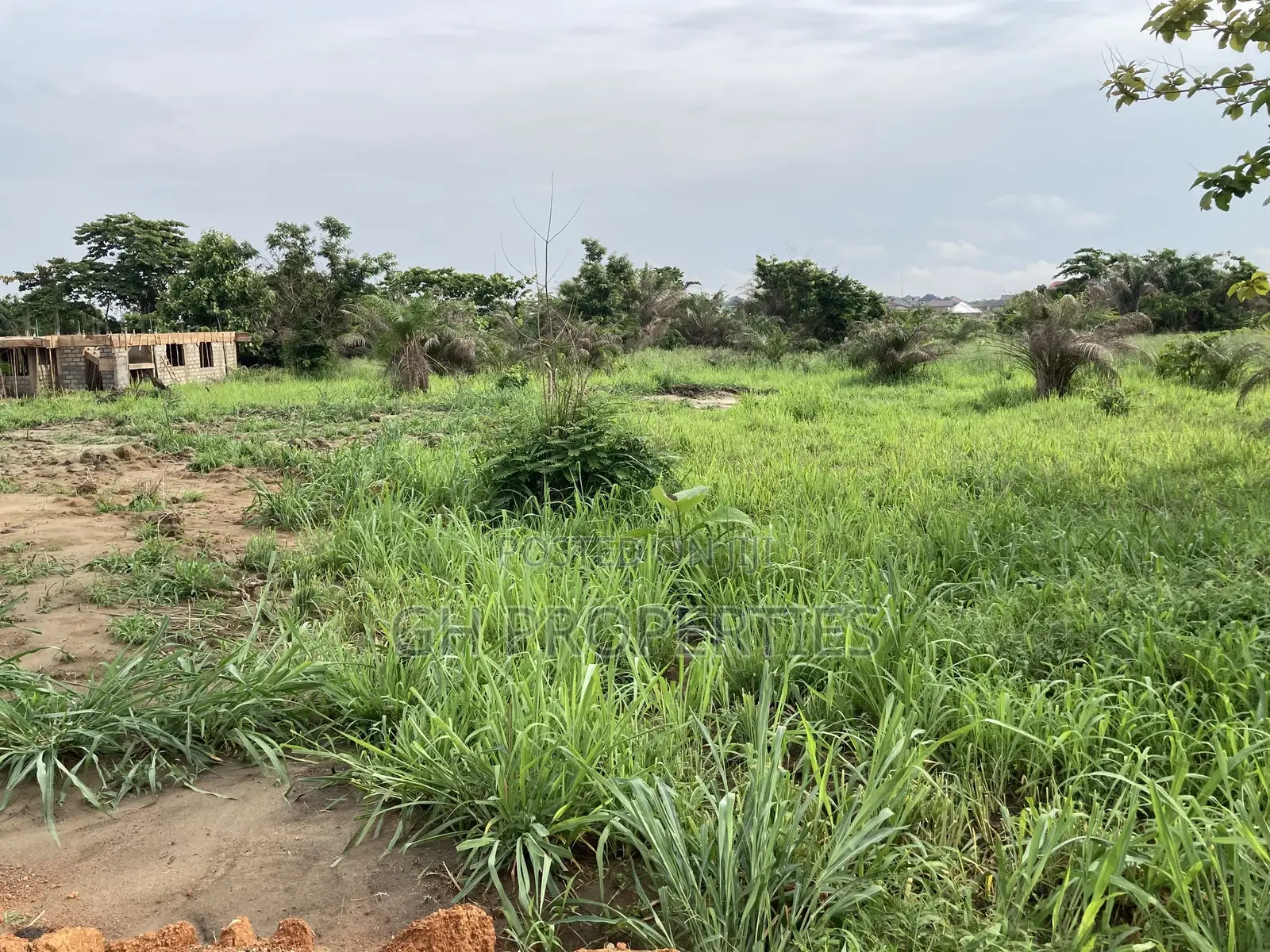 Half Plot for Sale at Sokoban Afracho.