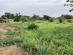 Half Plot for Sale at Sokoban Afracho.