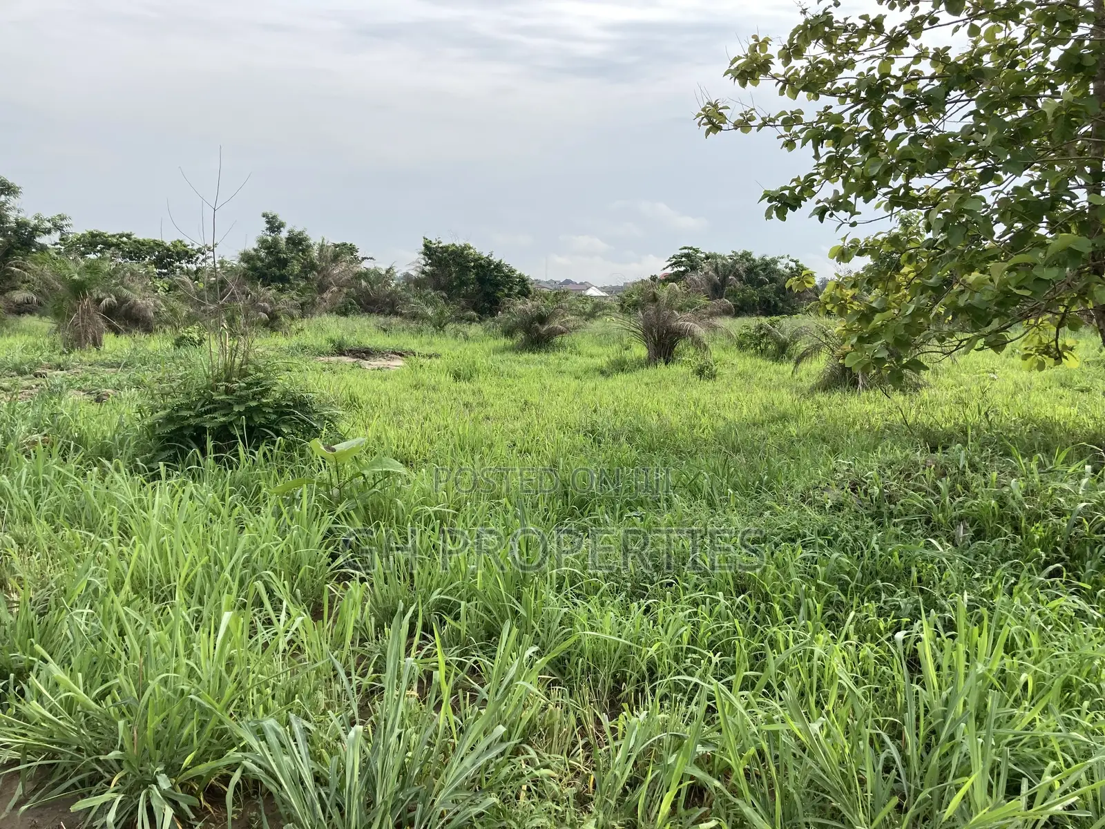 Half Plot for Sale at Sokoban Afracho.