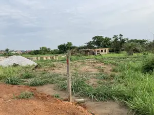 Half Plot for Sale at Sokoban Afracho.