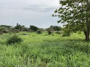 Half Plot for Sale at Sokoban Afracho.