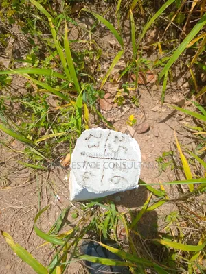 1 Acre of Land at Kasoa Akraman for Sale
