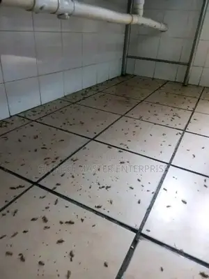 Professional Fumigation and Pests Control Service