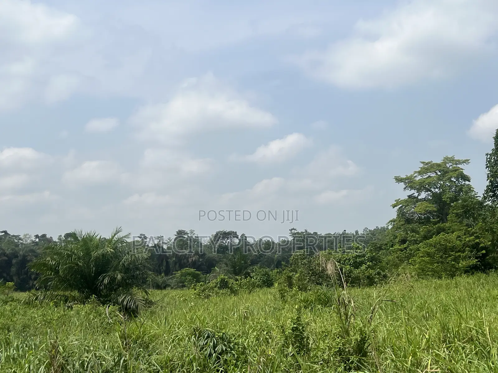 100 Acres of Farm Land for Sale in Effiduase Area