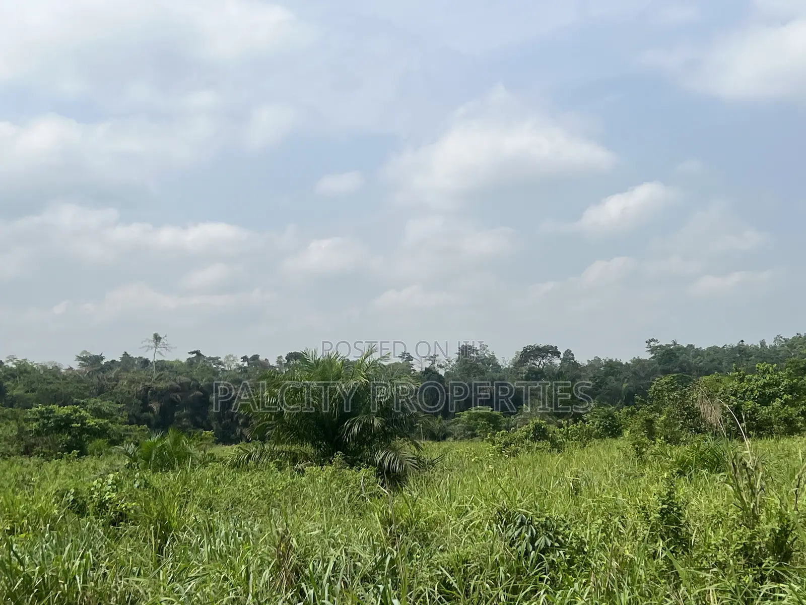 100 Acres of Farm Land for Sale in Effiduase Area