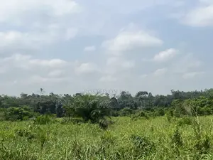 100 Acres of Farm Land for Sale in Effiduase Area
