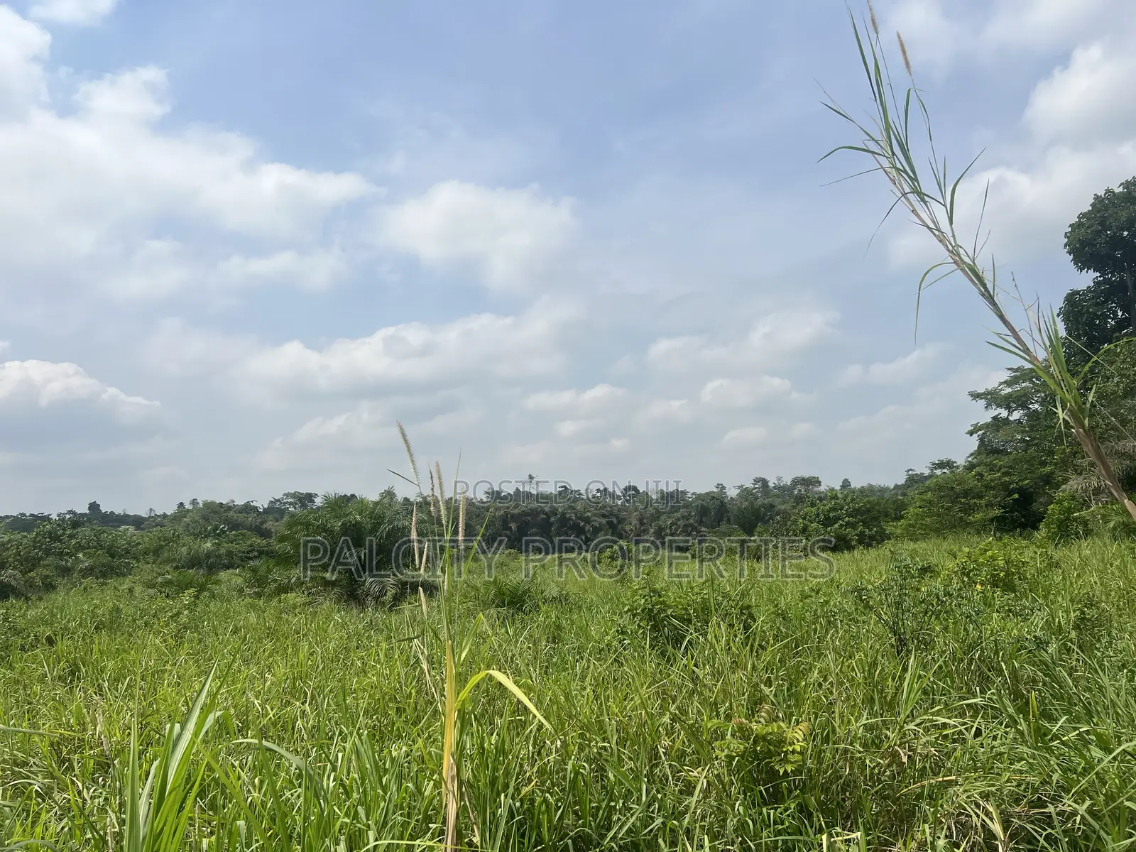 100 Acres of Farm Land for Sale in Effiduase Area
