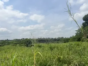 100 Acres of Farm Land for Sale in Effiduase Area