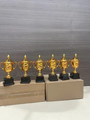 Kids Awards Trophies Available at Cool Price