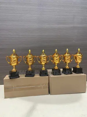 Kids Awards Trophies Available at Cool Price