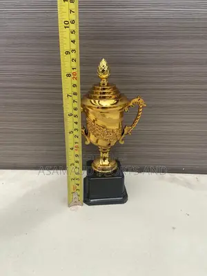 Kids Awards Trophies Available at Cool Price