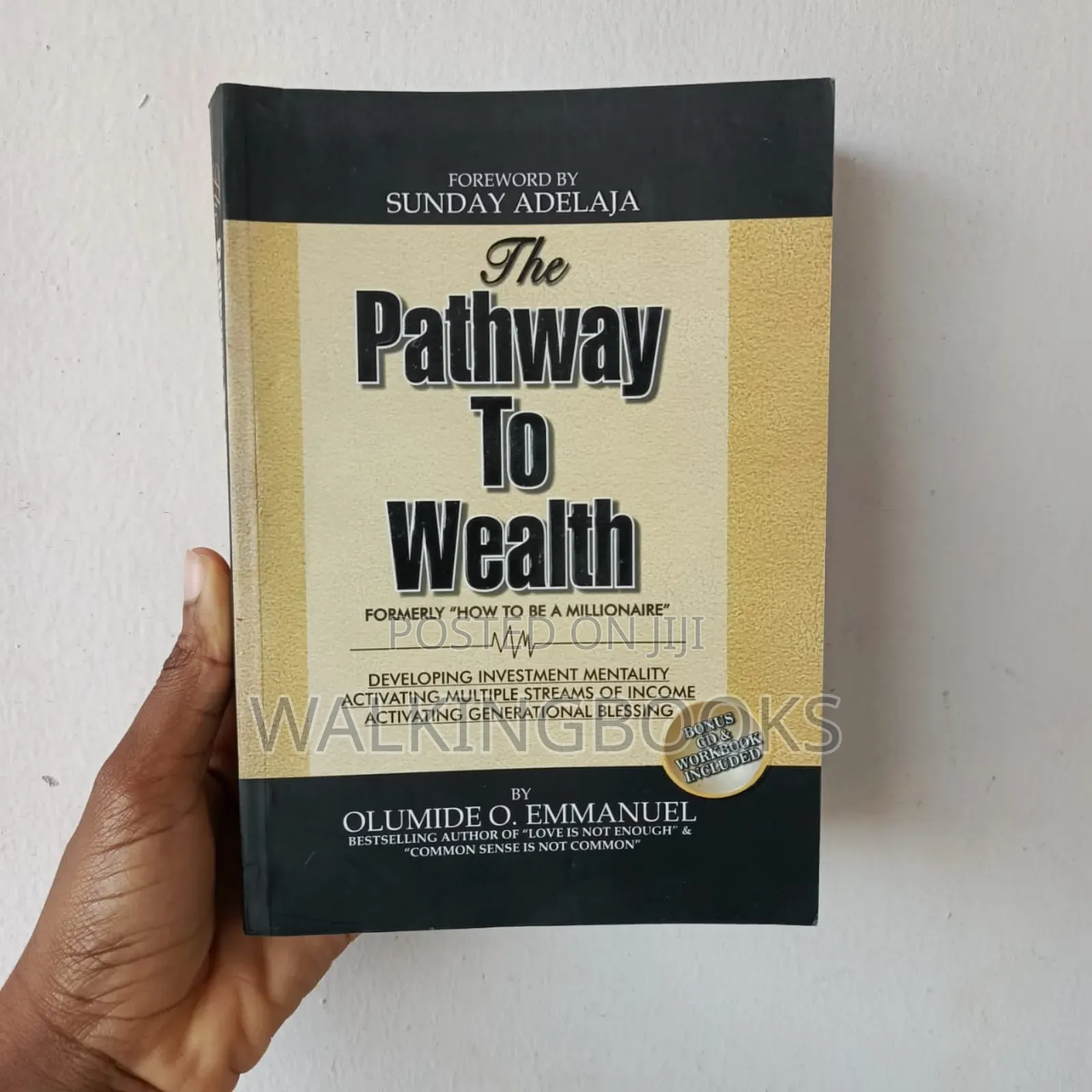 The Pathway to Wealth-Olumide Emmanuel
